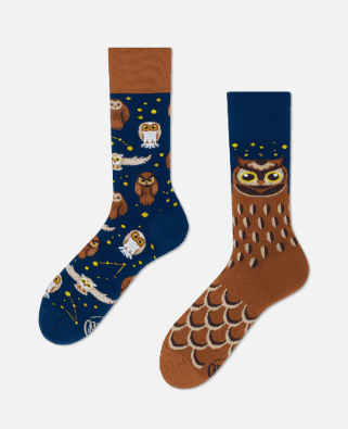 Many Mornings Many Mornings Owly Moly Socks