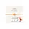 A Beautiful Story A Beautiful Story Gemstone Card Carnelian Gold Bracelet