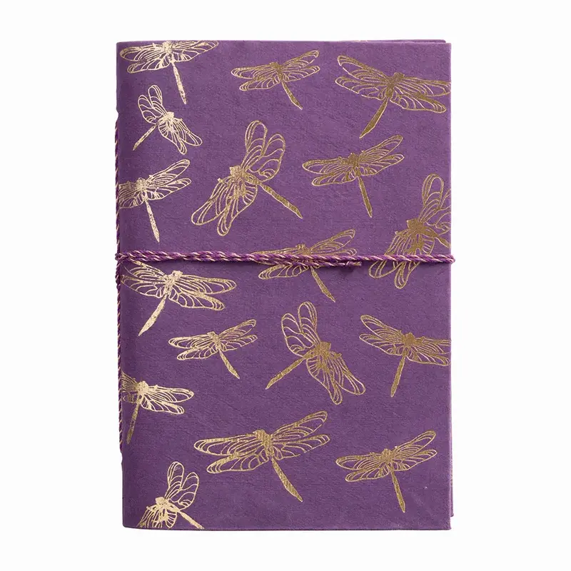 A Beautiful Story A Beautiful Story Schetsboek Dragonflies