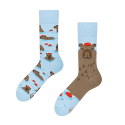 Many Mornings Capybara Socks