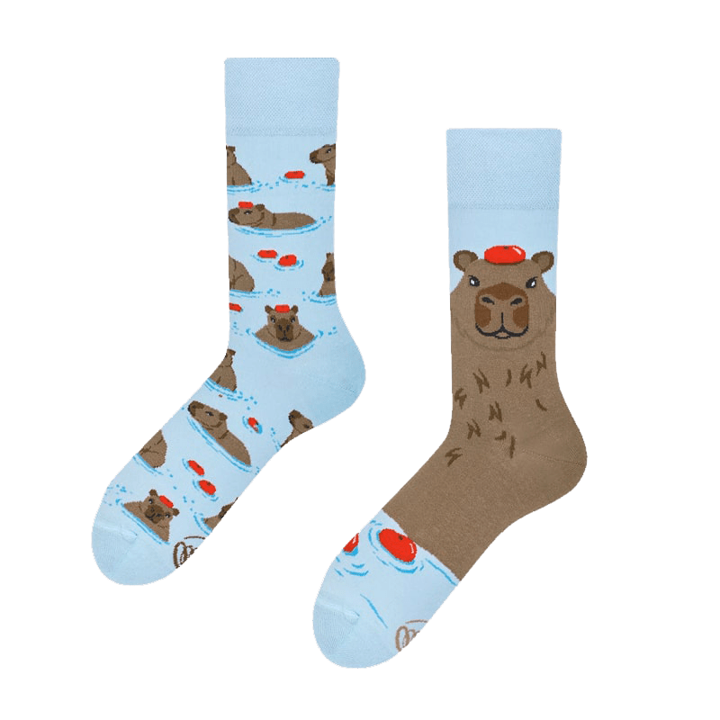 Many Mornings Many Mornings Capybara Socks