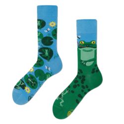 Many Mornings Froggy Frog Socks