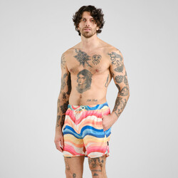 Dedicated Swim Shorts Sandhamn Wave Stripe Multi Color