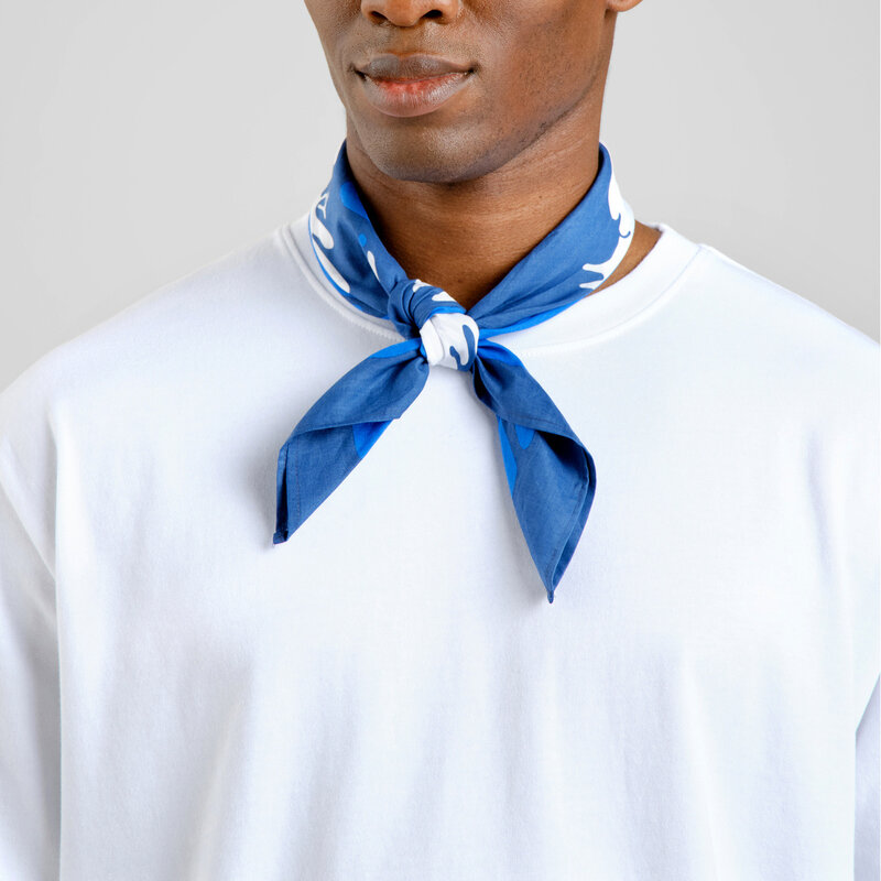 Dedicated Dedicated Scarf Kullavik The Pheonix Blue