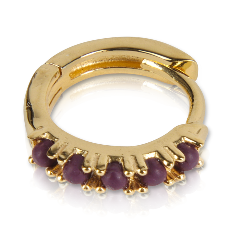 T.I.T.S. TITS Grit Ear Ring Power Gold Dark Purple
