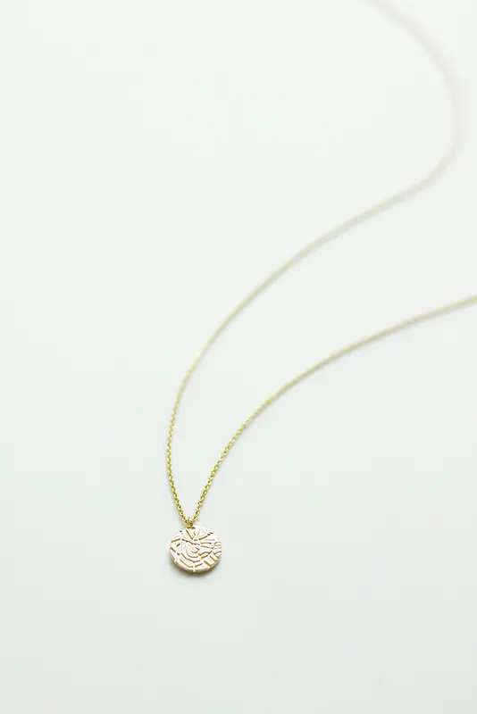 Riverstones Riverstones City Necklace Gold