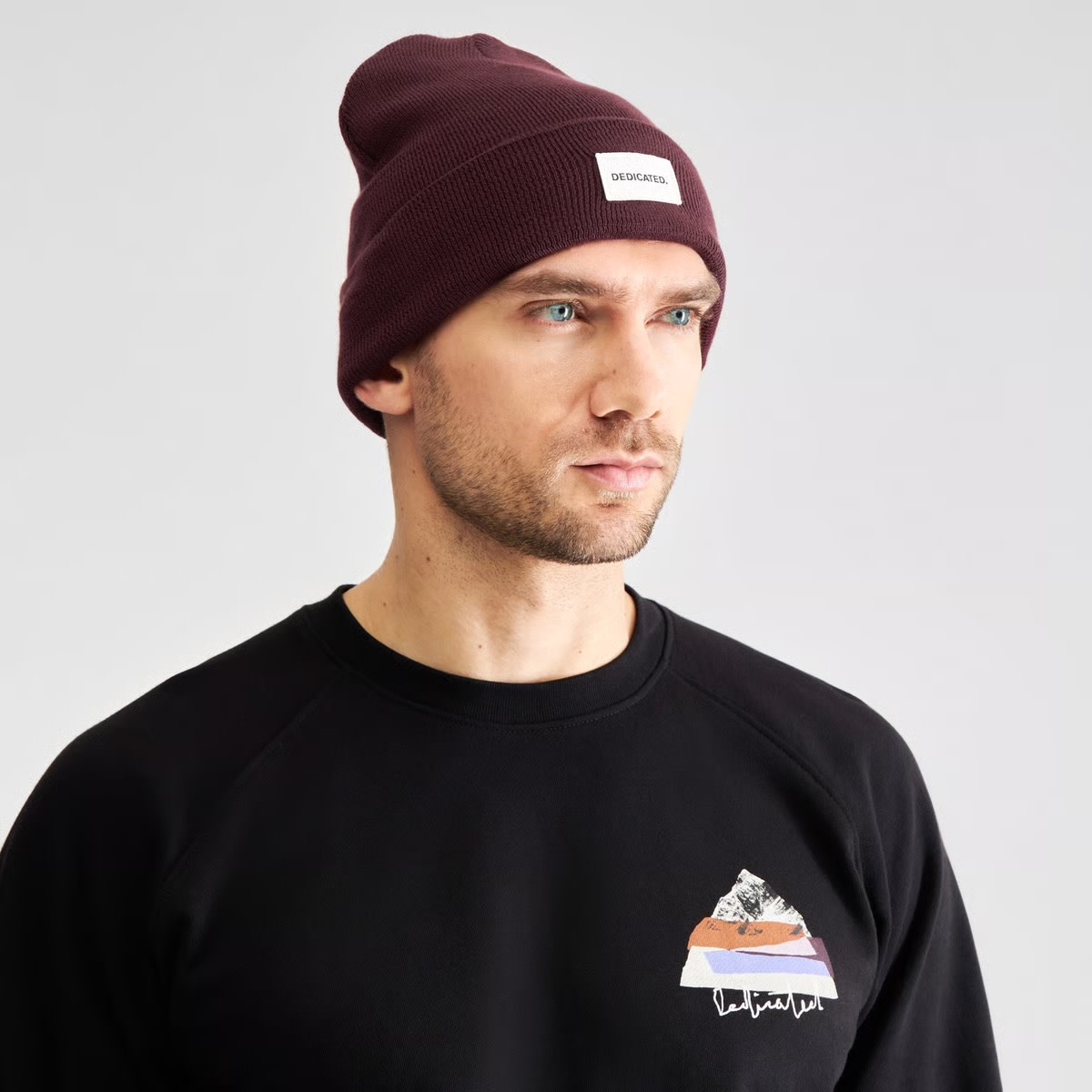 Dedicated Dedicated Beanie Kiruna Fig Red