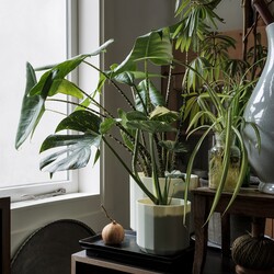 Elho Plant Pot Facet Round 17 Cm