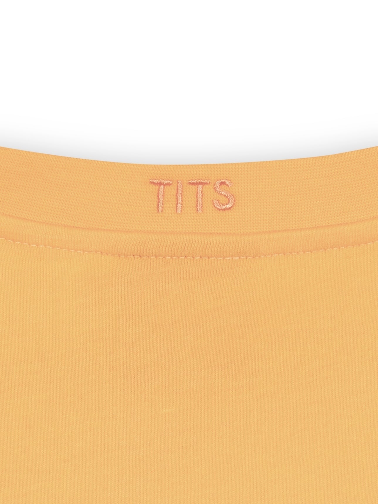 T.I.T.S. TITS T-Shirt Orange
