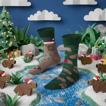 Many Mornings Socks Merrybara