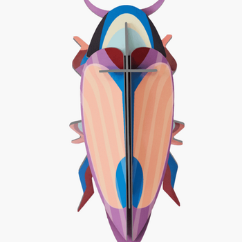 Studio Roof Wall Decoration Violet Click Beetle