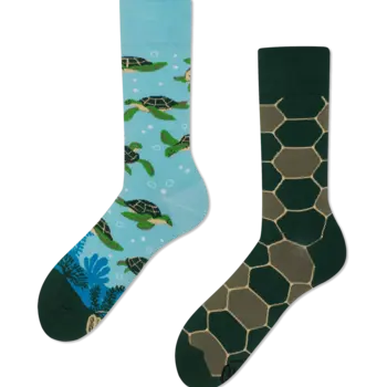 Many Mornings Socks Turtle Time
