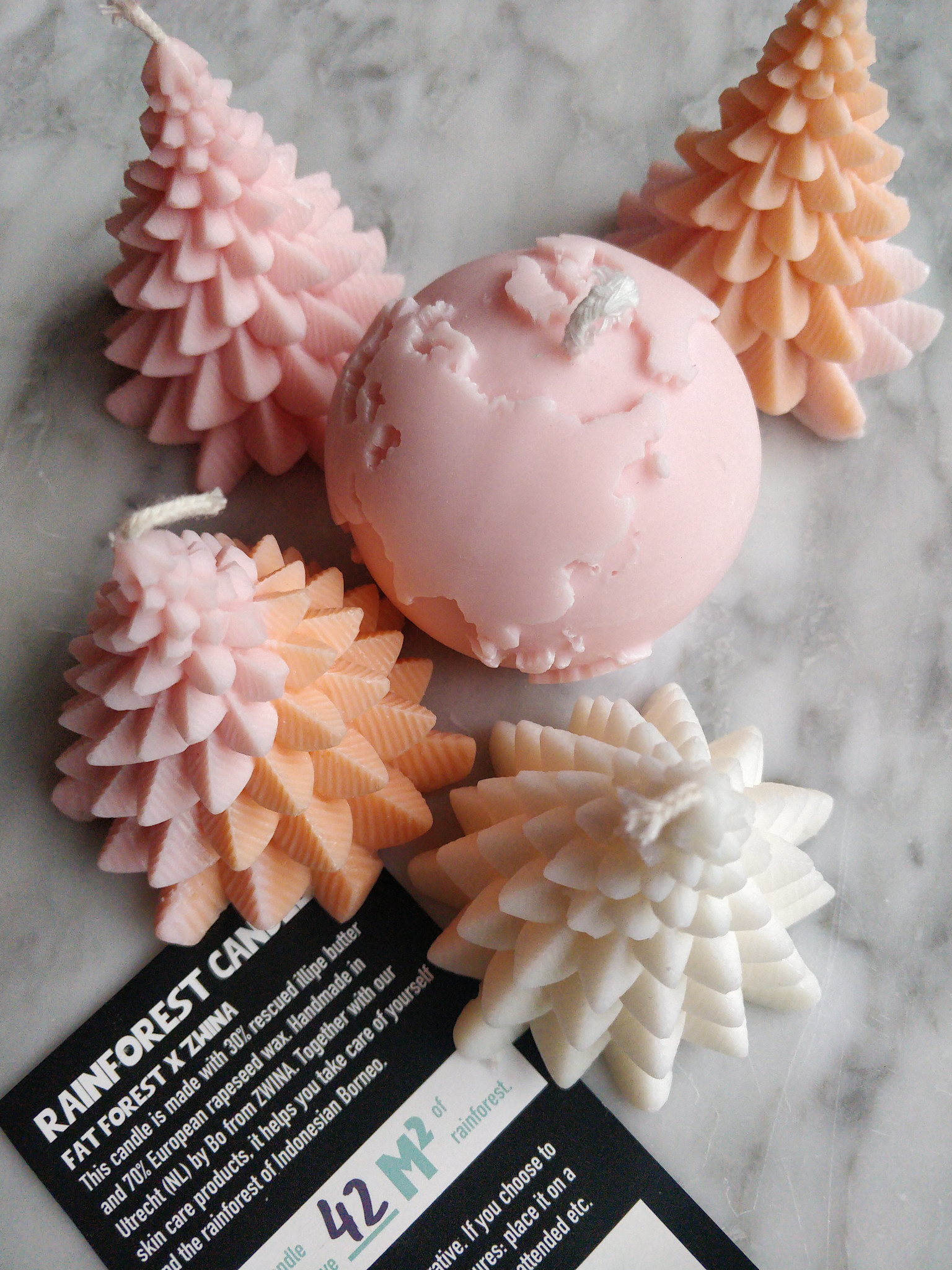 Fat Forest Fat Forest Large Tree Rainforest Candle