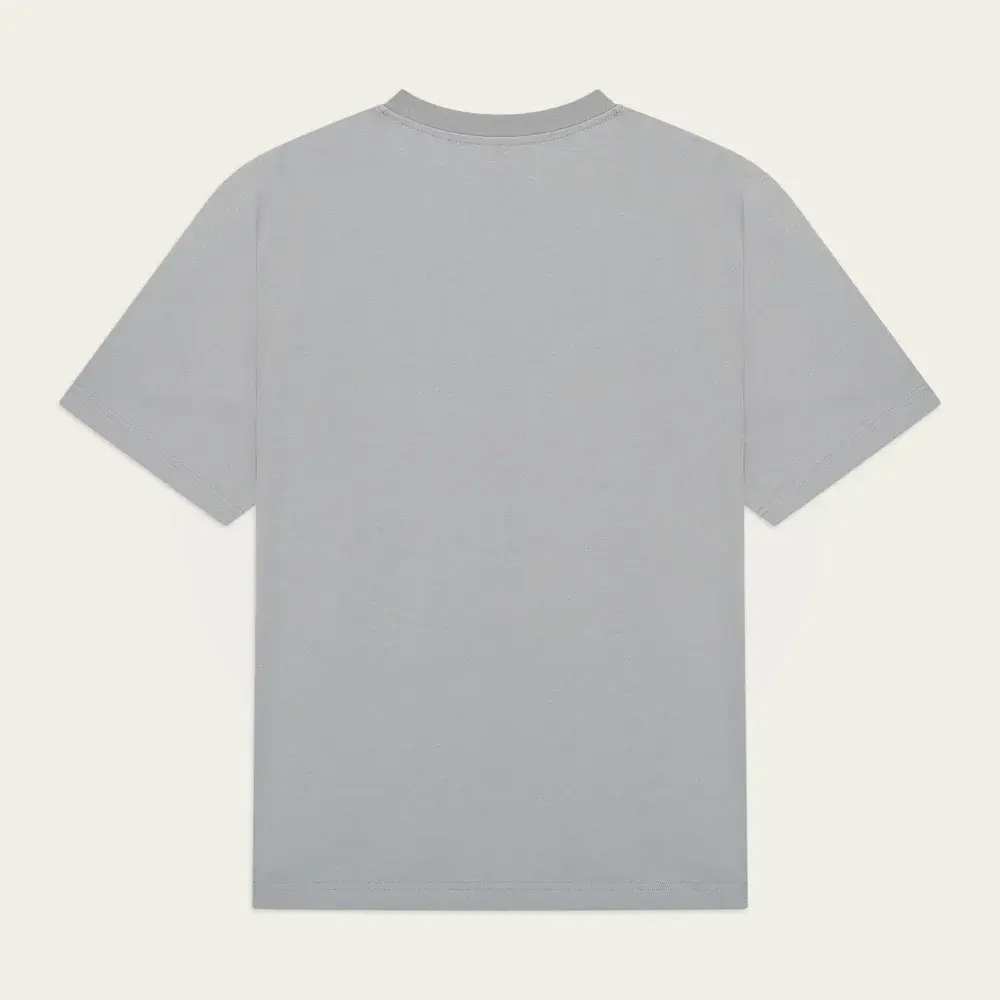 Like Charlie Like Charlie Logo T-Shirt Ash