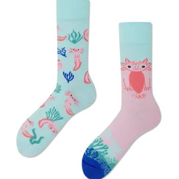 Many Mornings Socks A lot of Axalotls