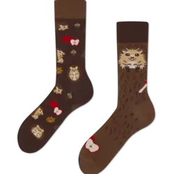Many Mornings Socks Happy Hedgehog