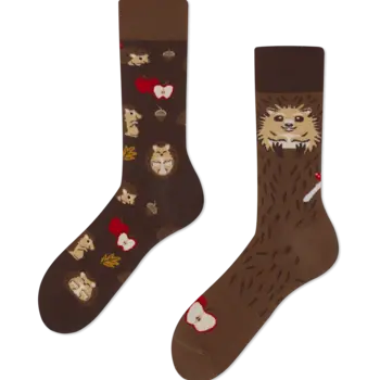 Many Mornings Socks Happy Hedgehog