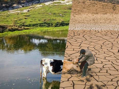 Doing Good, One Product at a Time