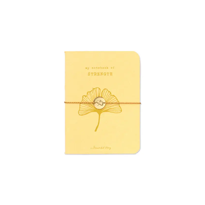 A Beautiful Story A Beautiful Story Storybook Ginkgo