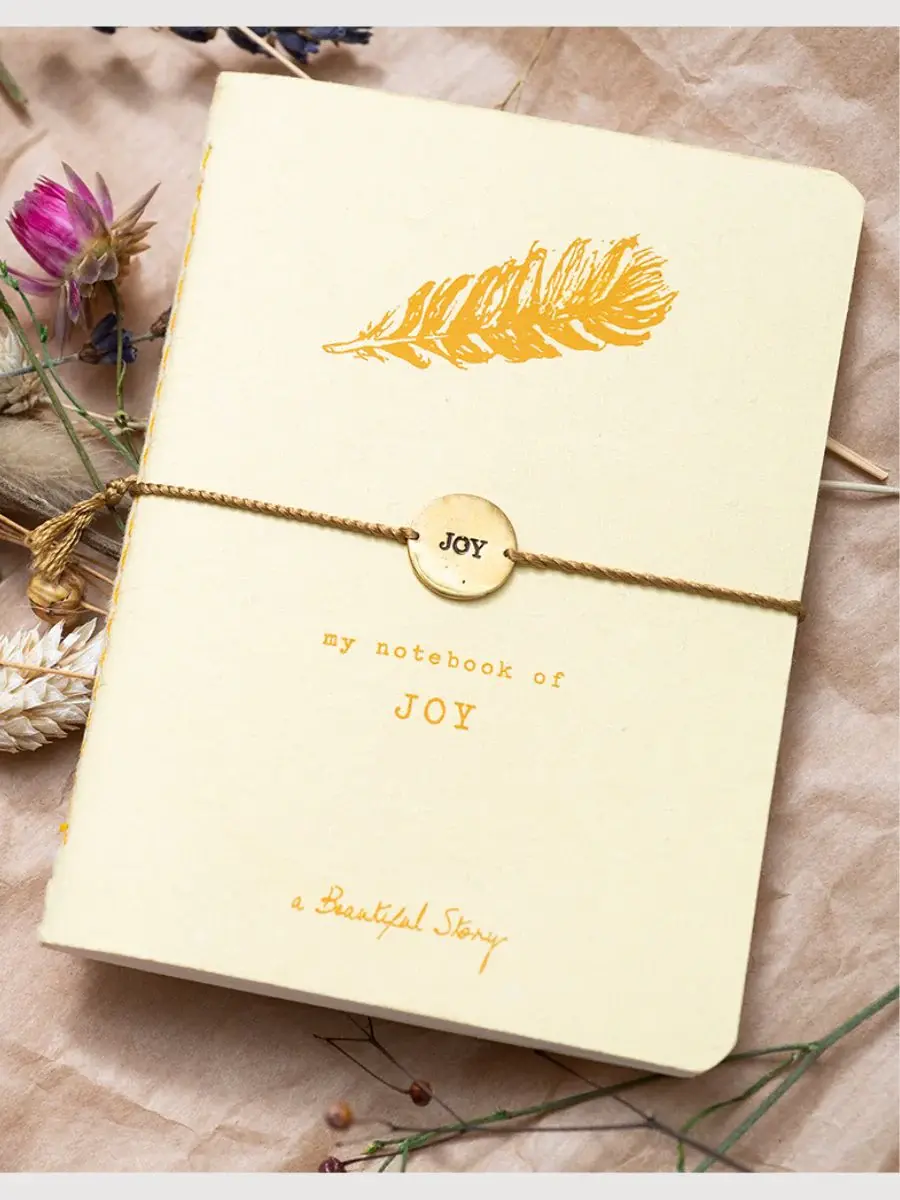 A Beautiful Story A Beautiful Story Storybook Joy