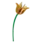 Studio Roof Studio Roof Yellow Tulip wall decoration