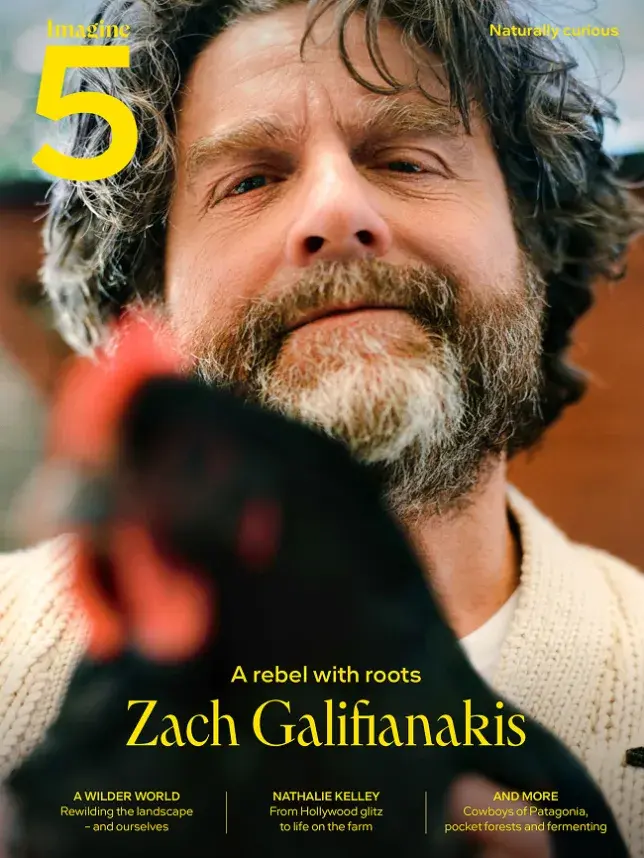 Imagine5 Imagine5 magazine Vol.5 Zach Galifianakis