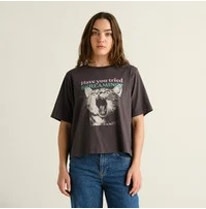 Dedicated Dedicated T-shirt Vadstena Screaming Cat Charcoal