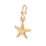 A Beautiful Story A Beautiful Story Mix&Match Starfish Charm Goud