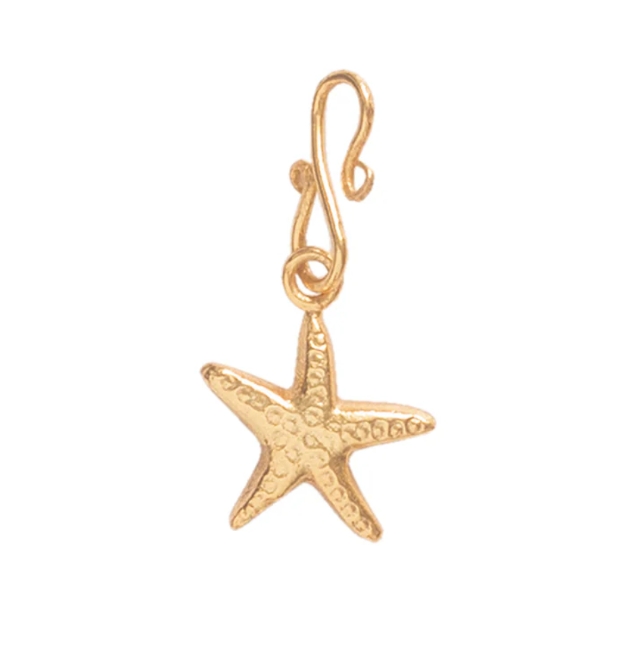 A Beautiful Story A Beautiful Story Mix&Match Starfish Charm Goud