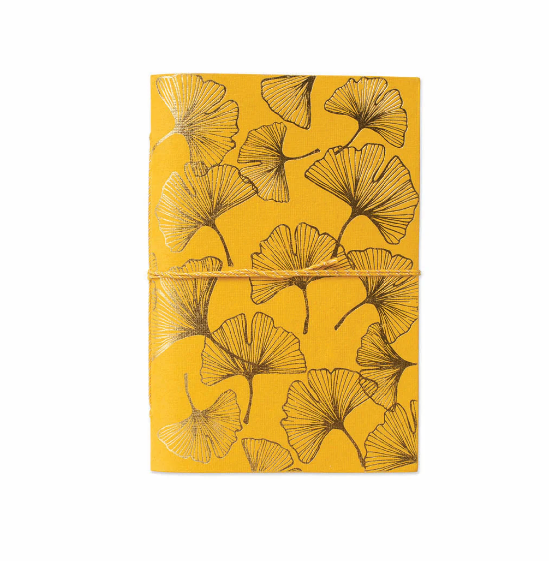 A Beautiful Story A Beautiful Story Sketchbook Ginkgo