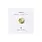 A Beautiful Story A Beautiful Story Broche Shell Scallop Goud