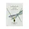 A Beautiful Story A Beautiful Story Wishing Labradorite Necklace Gold