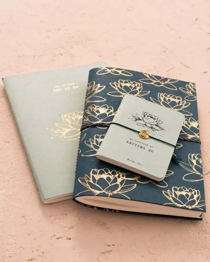 A Beautiful Story A Beautiful Story Storybook Lotus