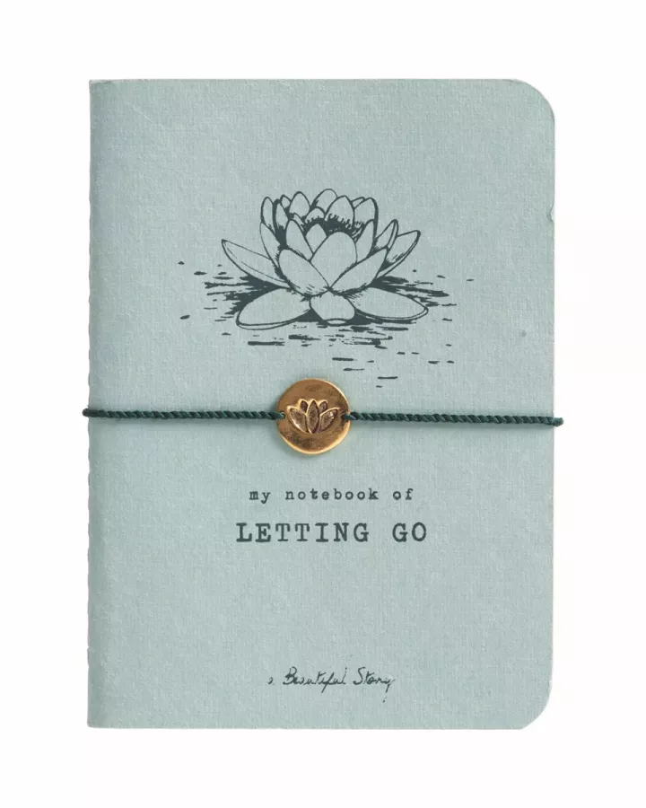 A Beautiful Story A Beautiful Story Storybook Lotus