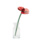 Studio Roof Studio Roof Red Rose