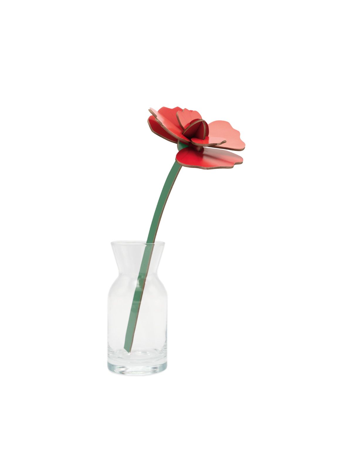 Studio Roof Studio Roof Red Rose