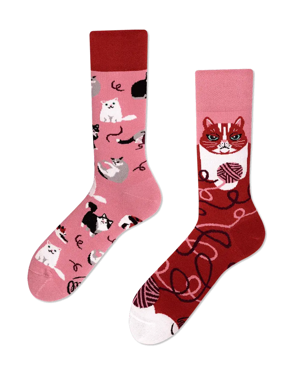 Many Mornings Many Mornings Playful Cat Socks
