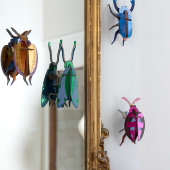 Studio Roof Cuprum Beetle Wall Art