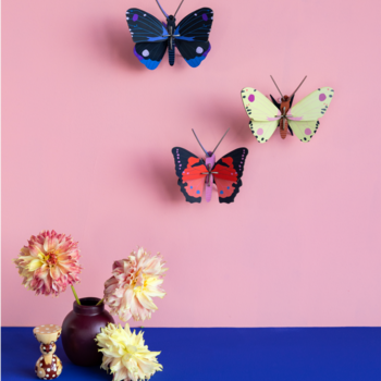 Studio Roof Blue Diadem Butterfly Wall Art