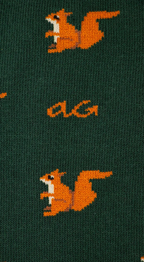 Alfredo Gonzales Alfredo Gonzales Socks Squirrel Army