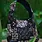 STUDIO BATIK BATIK Studio Batik Batik Mini Bag Mozaik