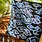 STUDIO BATIK BATIK Studio Batik Batik Bandana Mega Mendung