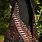 STUDIO BATIK BATIK Studio Batik Batik Joy Tas Cokelat