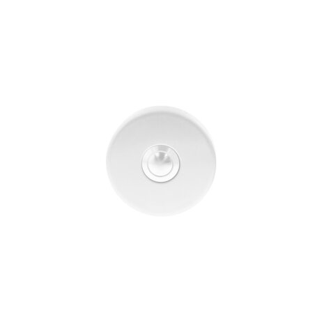 Intersteel Deurbel rond verdekt ø53x10 geborsteld rvs