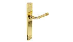 Intersteel Deurklink emily op schild 235x45x8 mm messing gelakt