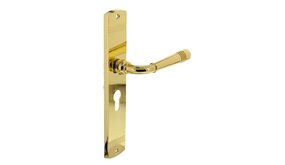 Intersteel Deurklink emily op schild profielcilindergat 55 mm messing gelakt Intersteel Deurklink emily op schild profielcilindergat 55 mm messing gelakt