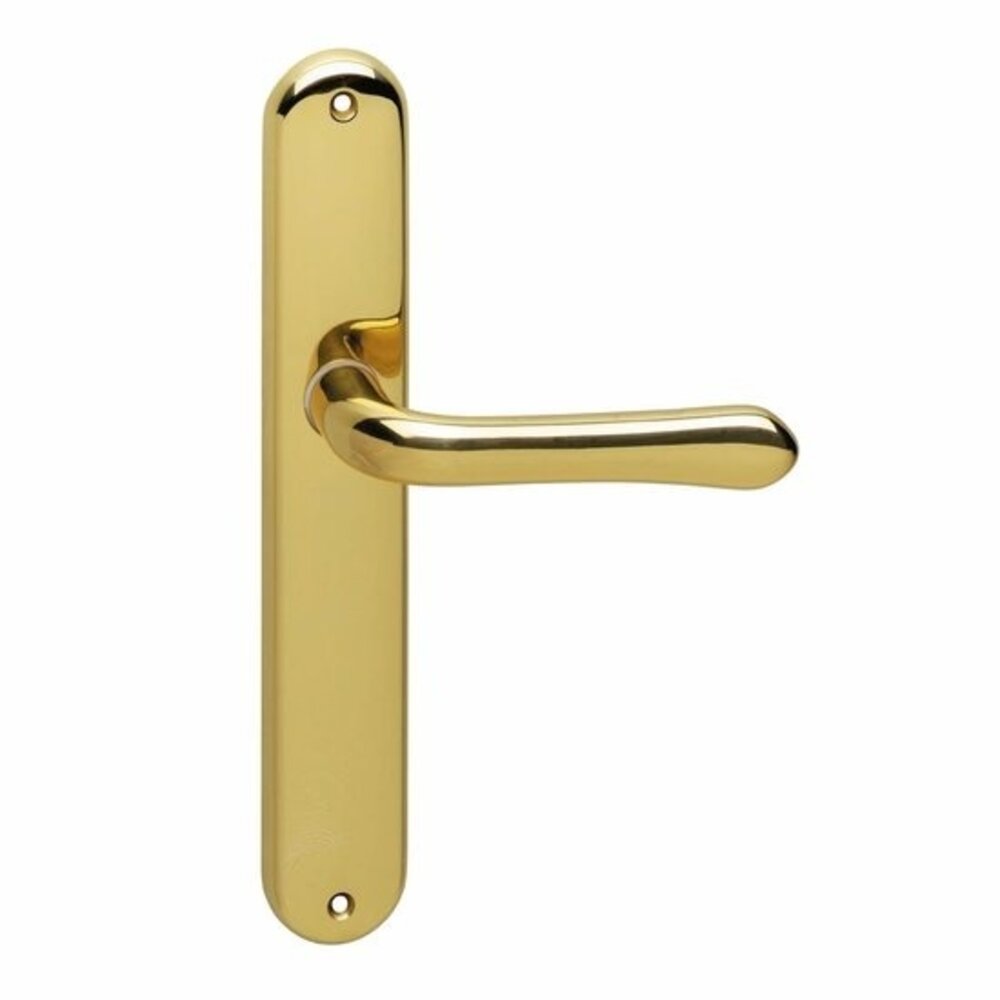 Intersteel Deurklink Saturnus op schild blind messing gelakt Intersteel Deurklink Saturnus op schild blind messing gelakt