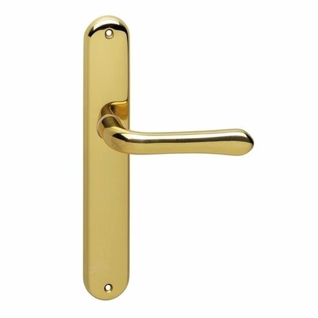 Intersteel Deurklink Saturnus op schild blind messing gelakt Intersteel Deurklink Saturnus op schild blind messing gelakt