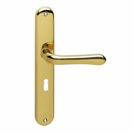 Intersteel Deurklink Saturnus op schild sleutelgat 56mm messing gelakt