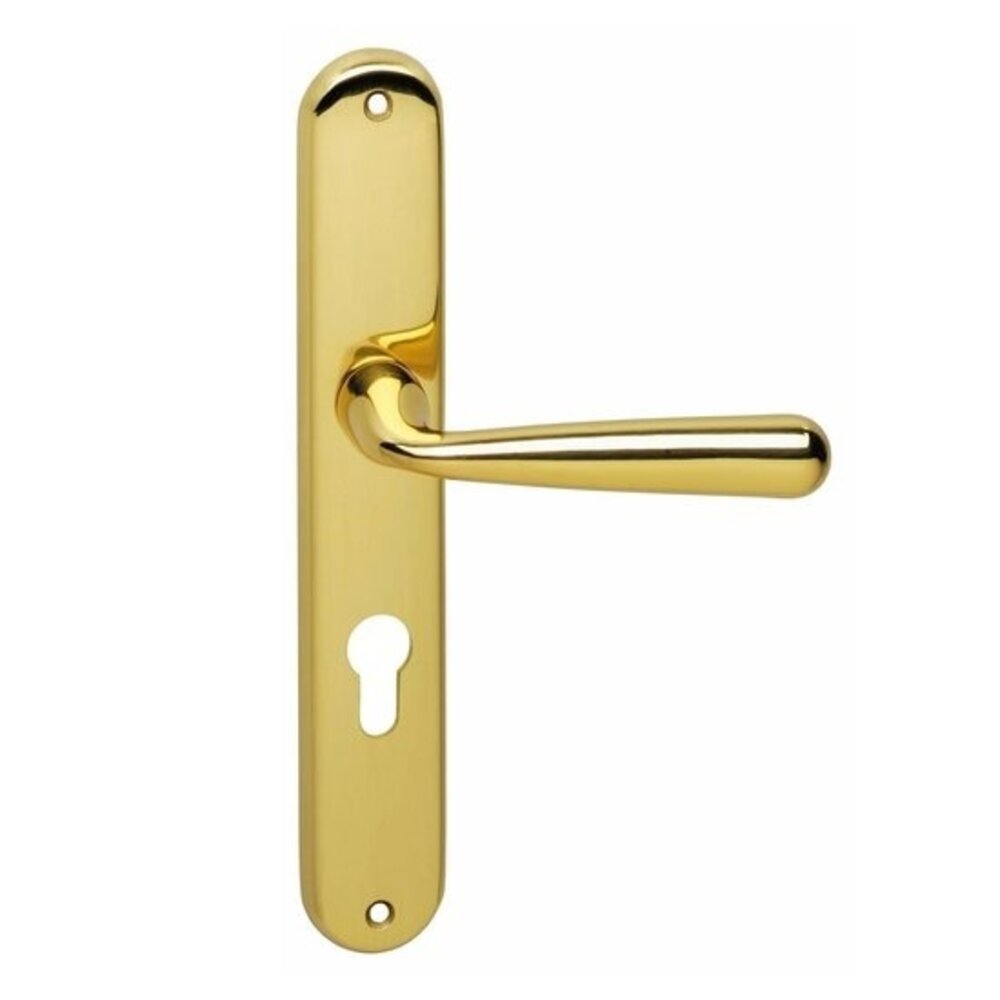 Intersteel Deurklink yvonne op schild profielcilindergat 72 mm messing gelakt Intersteel Deurklink yvonne op schild profielcilindergat 72 mm messing gelakt